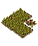 Sunflower Farm