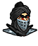 Mysterious Thief